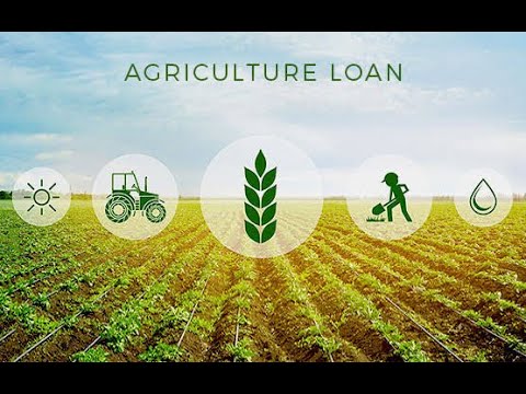 Agriculture Loan.jpg